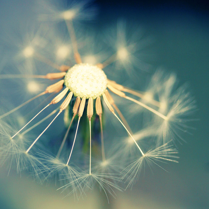 Climate Change and The Four Reminders