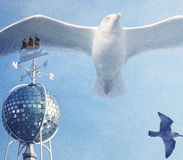 Take a Breathing Space