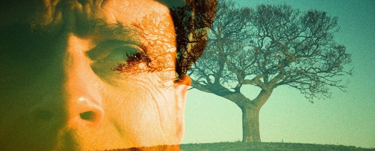 Learning From Mindfulness Based Approaches: the State We’re In