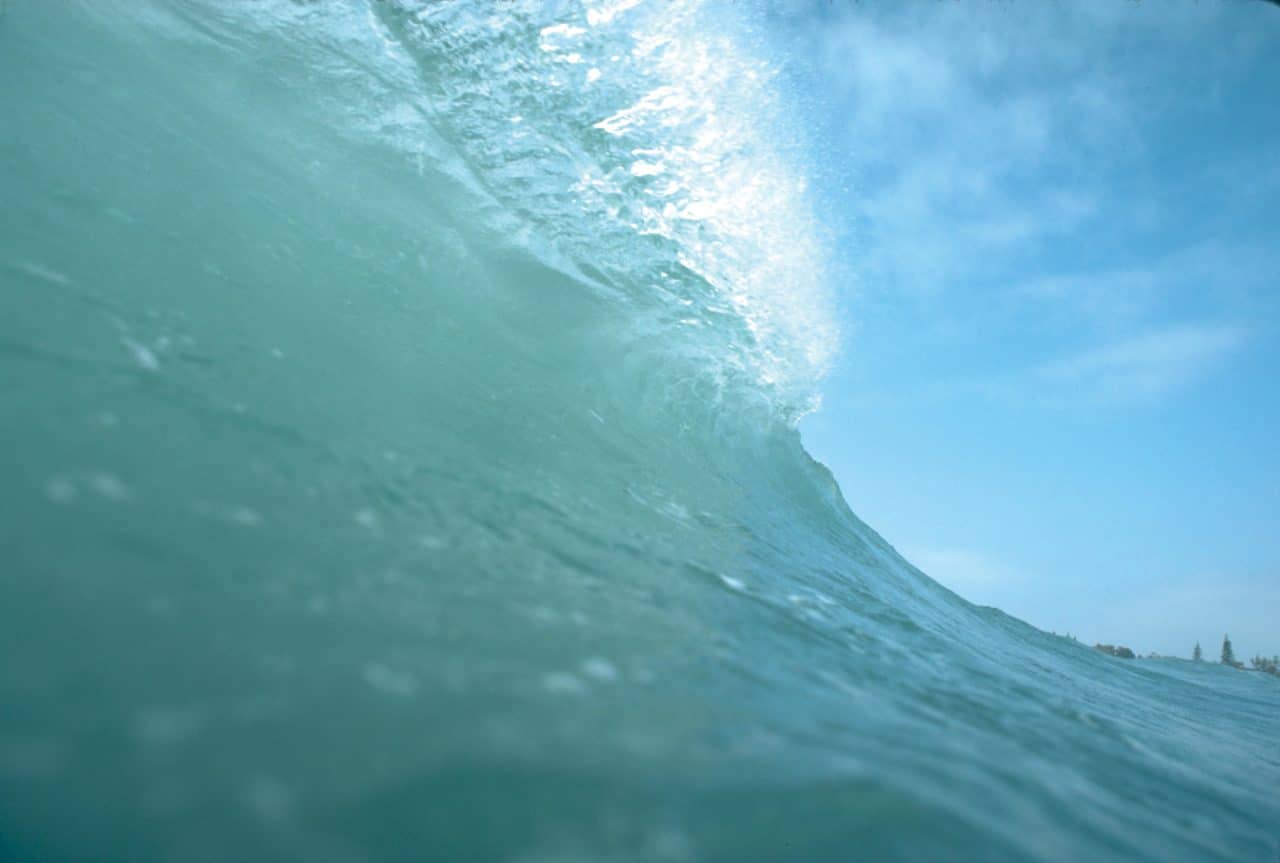 Six Elements: Modern Poems and Buddhist Reflections