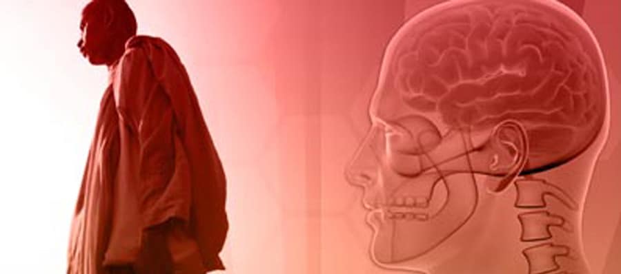 Buddha’s Brain: Review