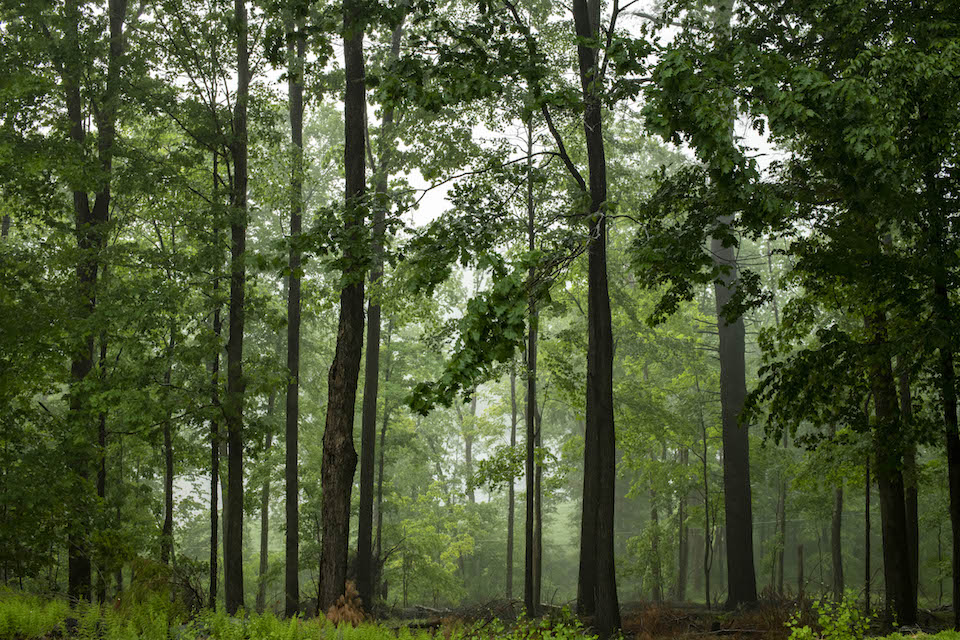 In the Green Economy, Sustainability Demands Wellbeing