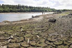 Cherish Water in a Drought