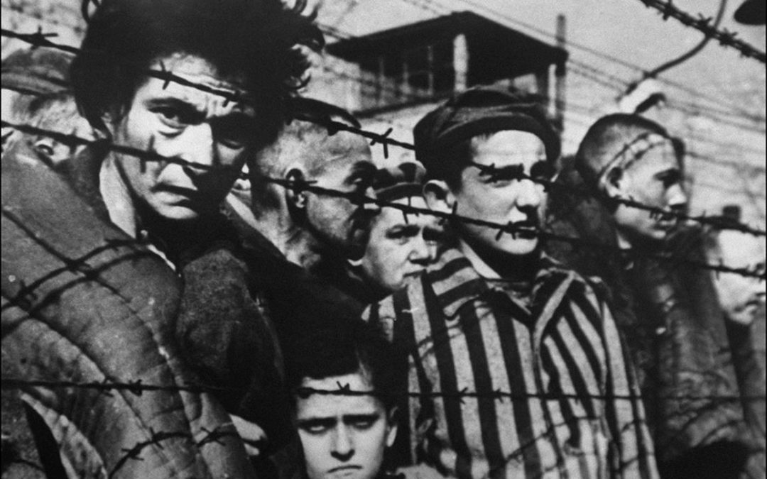 ‘The Escape Artist’: Powerful Holocaust Lesson for the Post-Truth World