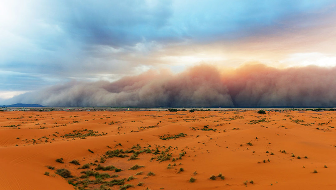 Staying alive to ambiguity in a media storm